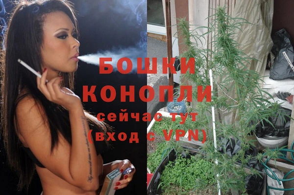 твердый Алзамай