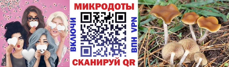 Псилоцибиновые грибы Magic Shrooms  Хотьково 